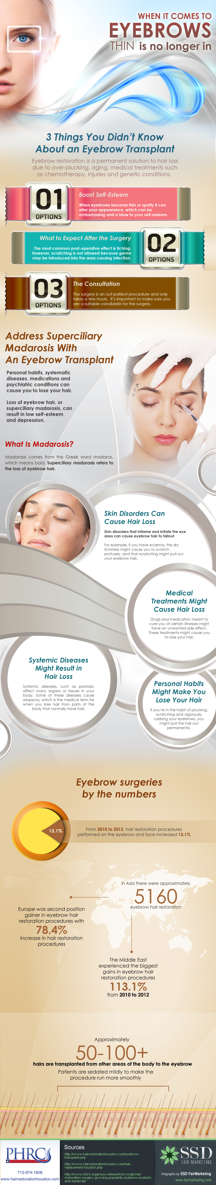 Eyebrow Transplant Infographic August 2014